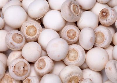 Champignons blancs 500g