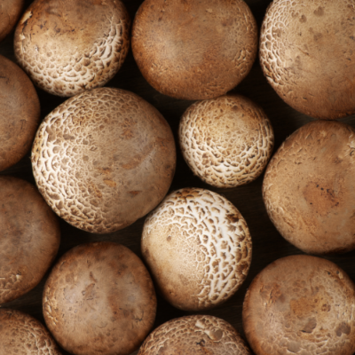 Champignons de Paris bio