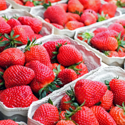 Fraises 