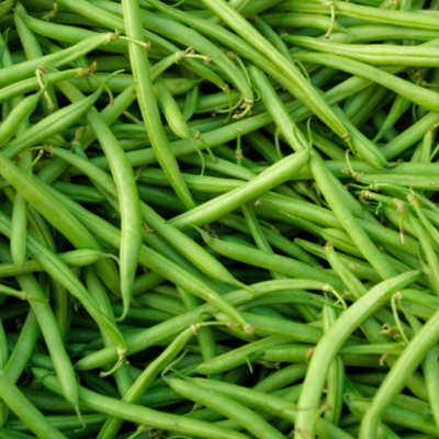 Haricots verts