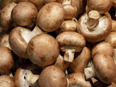 Champignons bruns 500g