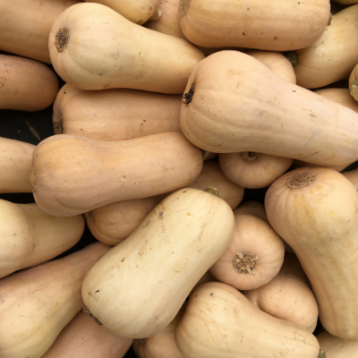 Butternut